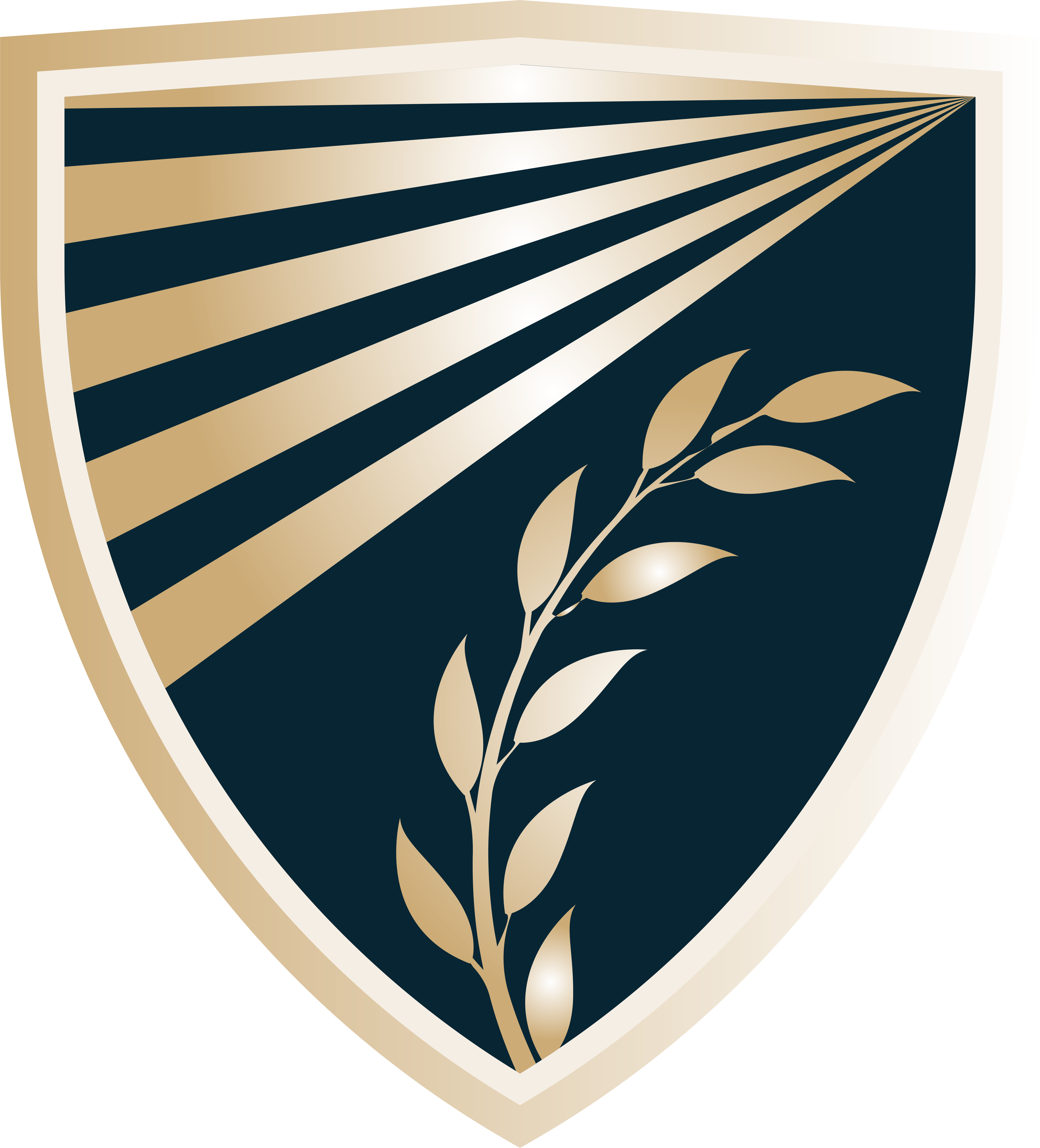 Dr. Oliveira Advocacia - Escudo